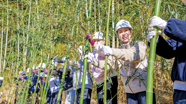 放置竹林による里山の荒廃